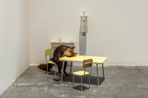 Maurizio Cattelan, _Bidibidobidiboo_ (1996). Taxidermied squirrel, ceramic, Formica, wood, paint, steel, 45 × 60 × 48 cm. Exhibition view: Maurizio Cattelan, _The Last Judgment_, UCCA, Beijing (20 November 2021–20 February 2022). Courtesy UCCA Center for Contemporary Art.